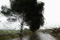 Rain di Abbas Kiarostami