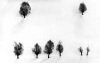 Snow di Kiarostami