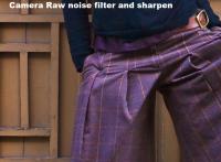 Sharpen e noise integrated in Camera Raw